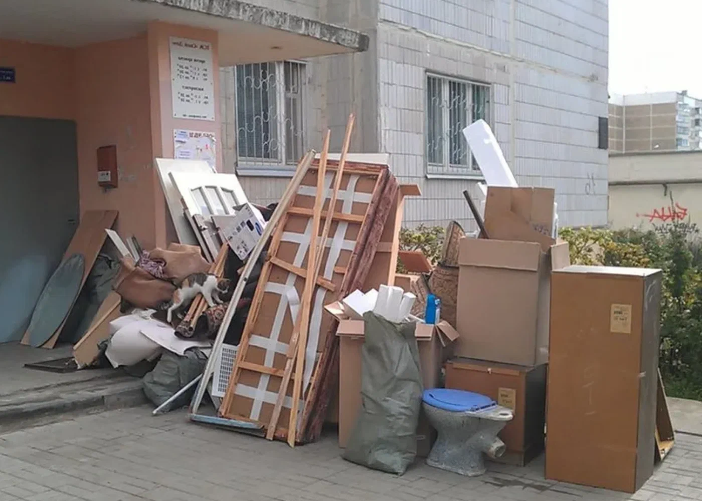 Профессиональный вывоз мусора из квартиры в Тайшете в октябре