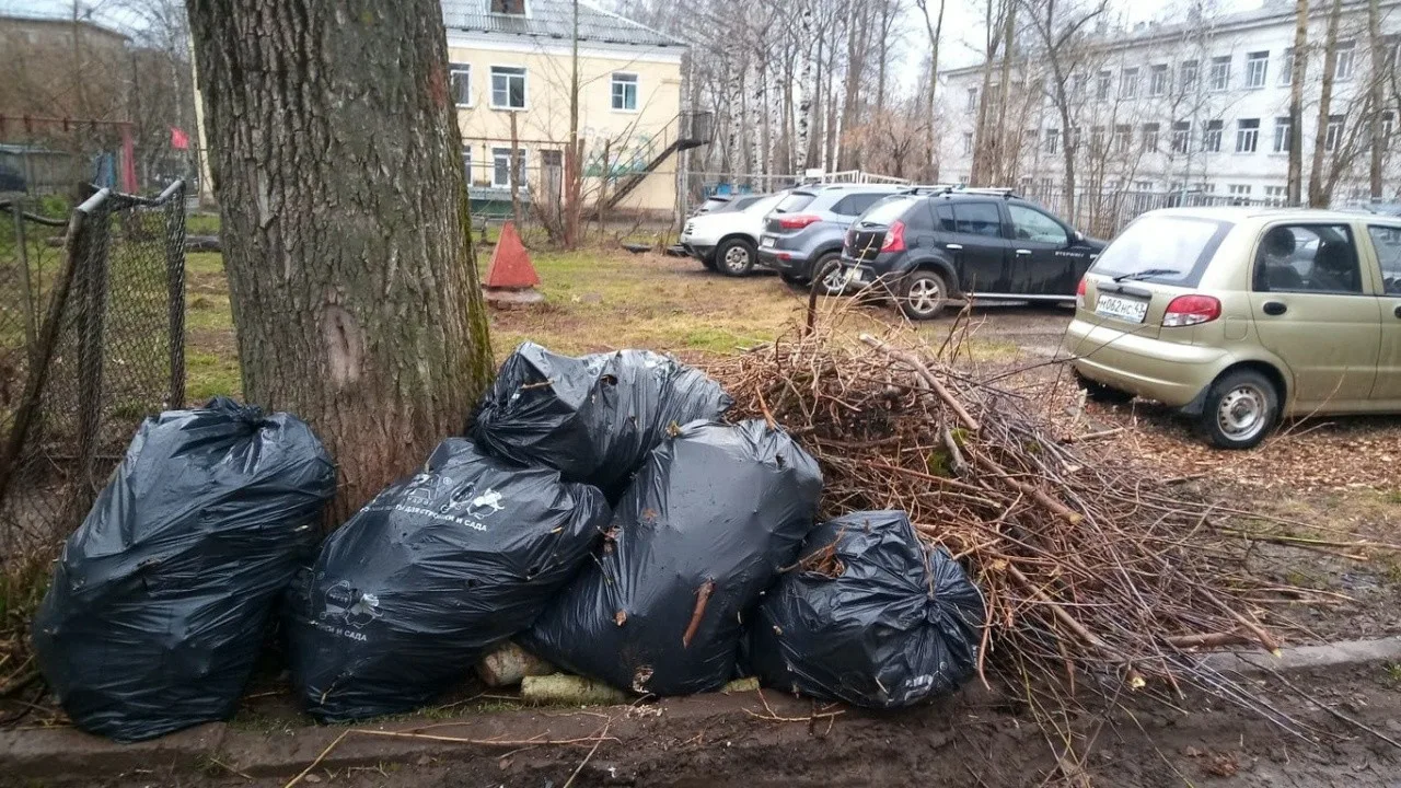 Вывоз мусора после субботника в Тайшете от ПроМусор – уборка и утилизация отходов от 2440 руб