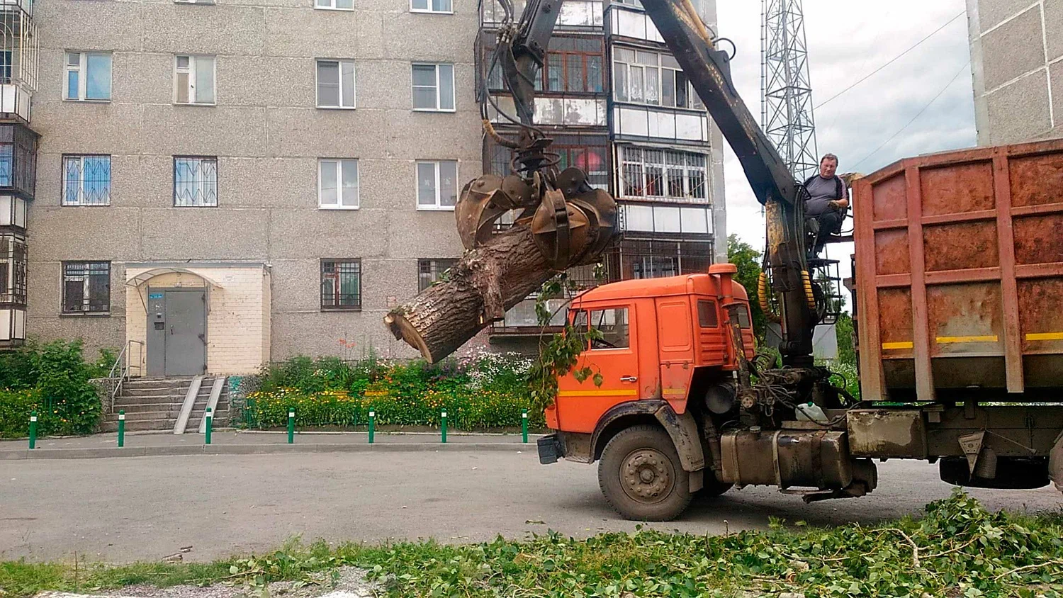 Вывоз спиленных веток и деревьев в Тайшете от ПроМусор: порубочные остатки, утилизация, цена от 3012 руб