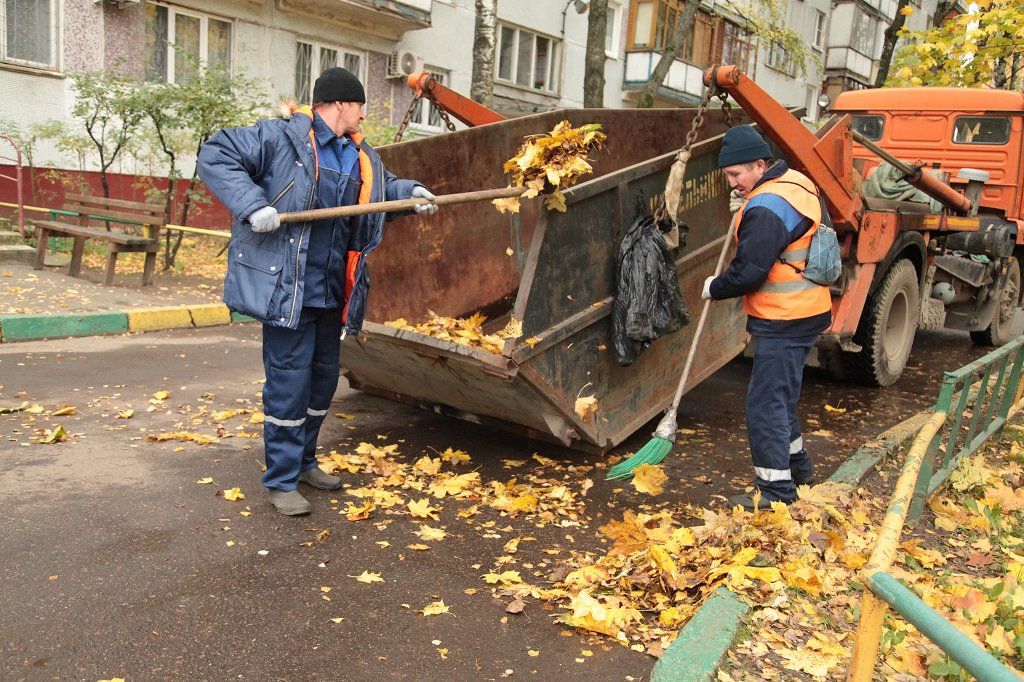 Вывоз опавшей листвы и растительного мусора в Тайшете от ПроМусор – цена от 4673 руб., быстрая уборка и утилизация